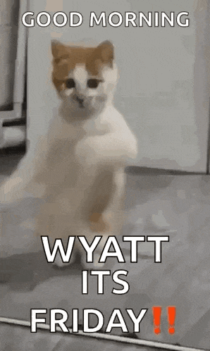 a cat is standing on its hind legs in a room with the words `` good morning wyatt its friday ! ''