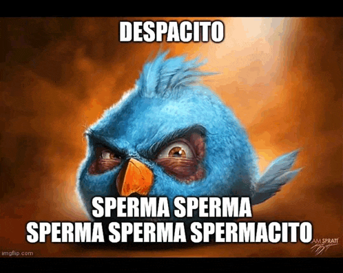 a blue angry bird with despacito written on it