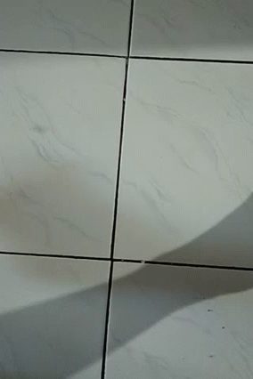 Floor Tiles GIF - Floor Tiles Fly GIFs
