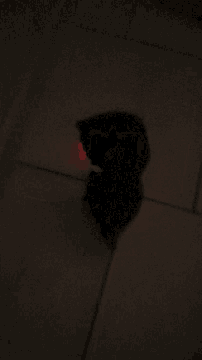 a shadow of a person is cast on a dark wall