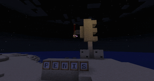 the word penis is on a block in a game