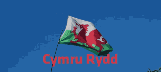 Annibynieath Indy Wales GIF - Annibynieath Indy Wales Wales GIFs