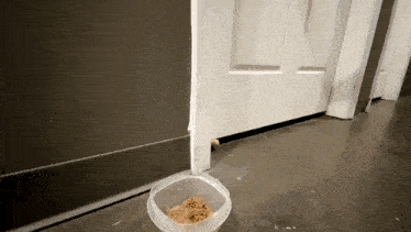 a bowl of dog food is sitting under a door .