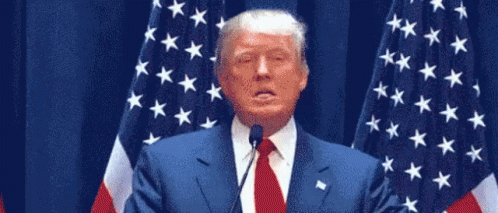 Trumper Tantrum GIF - Donal Trump Hyperventilating Fuming GIFs