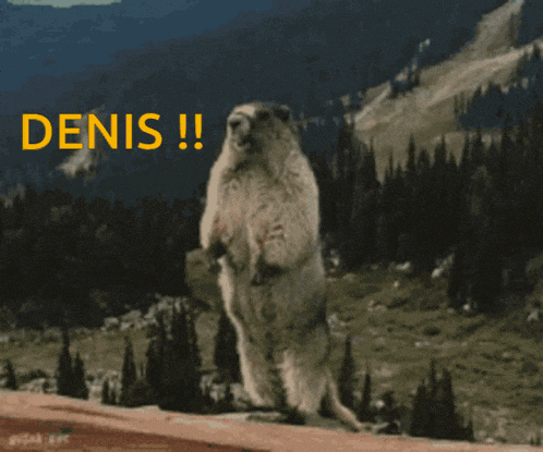 a ground squirrel is standing on its hind legs with the word denis written above it