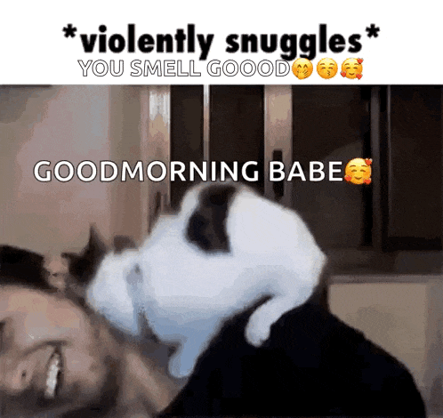 a cat is laying on a man 's head and says " violently snuggles you smell good "