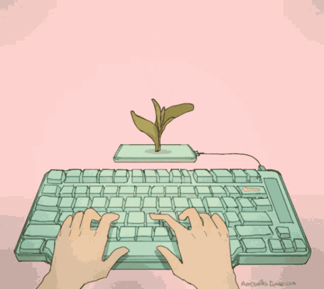 a person typing on a keyboard with a flower growing out of it