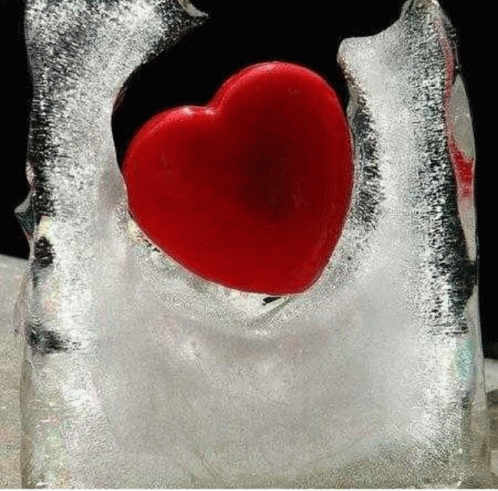 a red heart is embedded in a piece of ice .