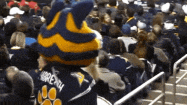 a mascot wearing a jersey that says ' bretty ' on it stands in front of a crowd