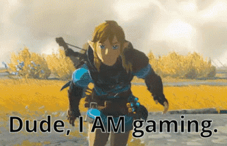 Dude I Am Gaming Zelda GIF - Dude I Am Gaming Gaming Zelda GIFs