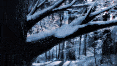 a painting of a snowy forest with the letters sea on the bottom right