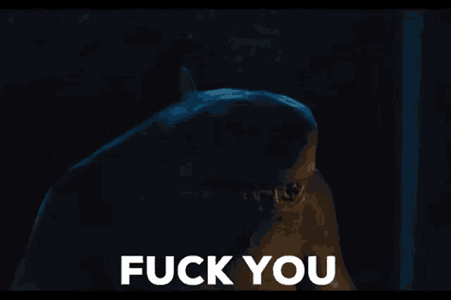 a shark is saying " fuck you " in a dark room .