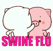 a couple of pigs standing next to each other with the word swine flu .