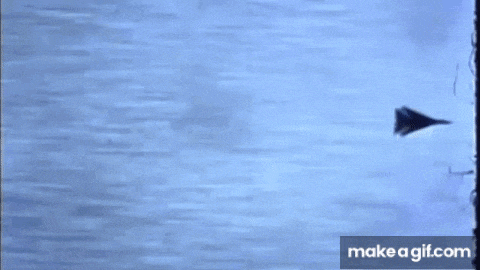 a black object is flying through the air in front of a blue wall .
