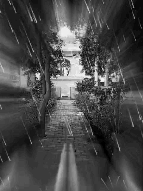 a black and white photo of a path leading to a building .