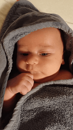a baby wrapped in a gray blanket with a hood