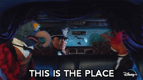 This Is The Place The Driver GIF - This Is The Place The Driver The Great Gonzo GIFs