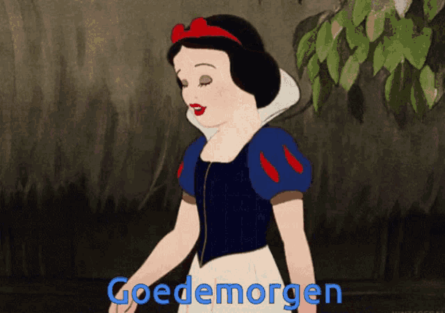 a snow white cartoon says goedemorgen in blue
