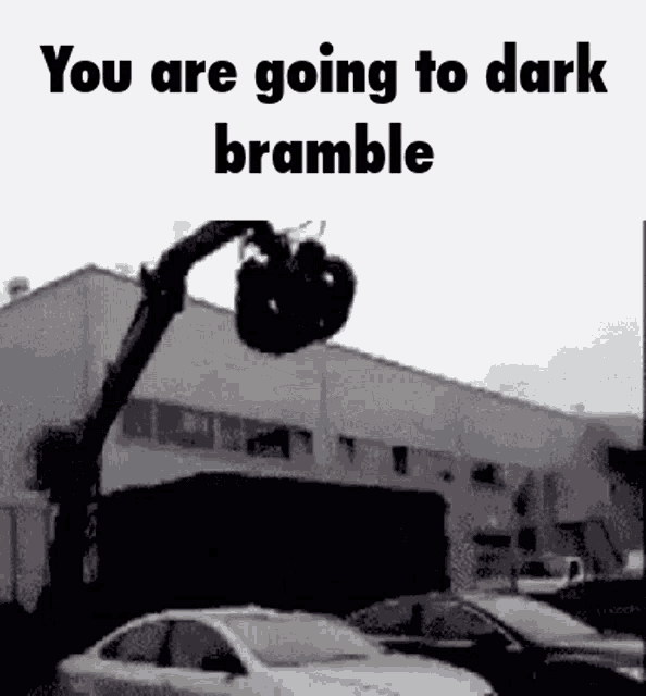 Outer Wilds Dark Bramble GIF - Outer Wilds Dark Bramble You Are Going To GIFs