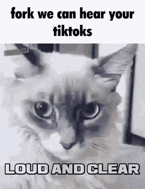 Fork Tiktok GIF - Fork Tiktok Samibutnotactually GIFs