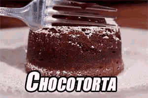 a chocolate cake with powdered sugar and a fork on a plate with the word chocotorta written on it