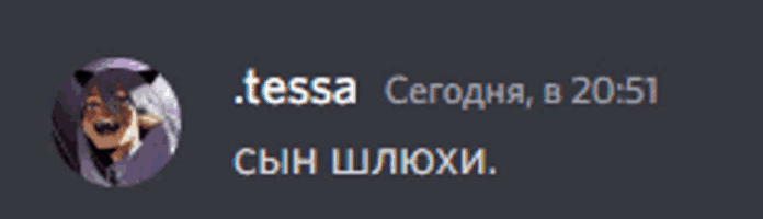 a screenshot of a discord conversation between tessa and a son