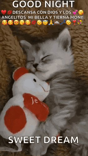 a kitten is sleeping next to a teddy bear with a heart on it .