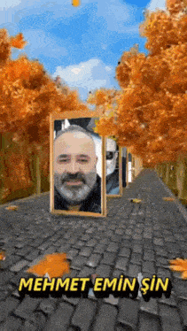 a man with a beard is in a picture frame on a cobblestone road