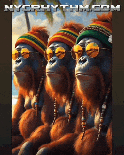 three orangutans wearing hats and sunglasses are on a nycrhythm.com ad