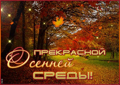 a greeting card with a picture of a forest and the words " прекрасной "