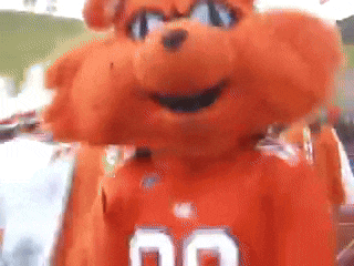 a close up of a mascot wearing a jersey with the number 00 on it