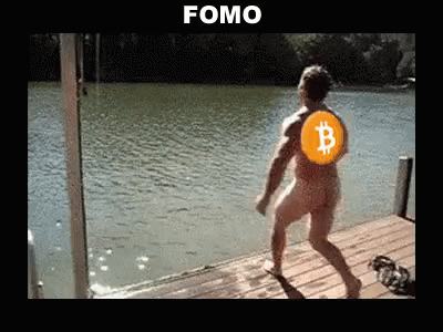 Bitcoin Fomo GIF - Bitcoin Fomo Cryptocurrency GIFs