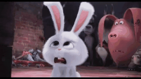 Secret Life Of Pets Bunny GIF