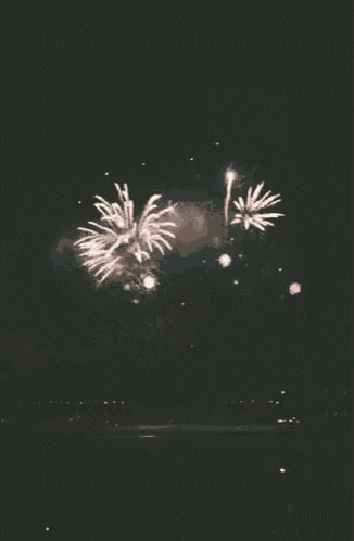 fireworks are displayed in the night sky over the ocean