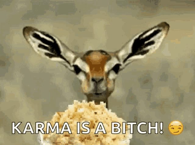a gazelle is holding a bowl of popcorn with the words karma is a bitch below it