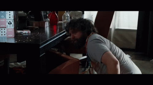 The Hangover There Is A Tiger In The Bathroom GIF - The Hangover There Is A Tiger In The Bathroom GIFs