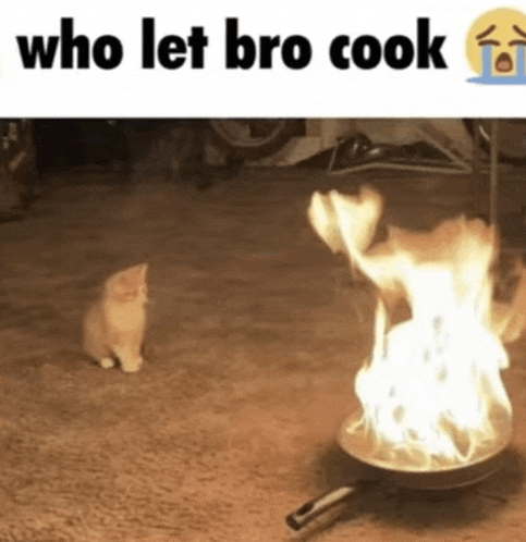 who-let-bro-cook.gif