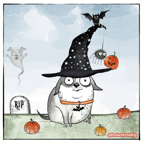 a dog wearing a witch hat is surrounded by pumpkins and bats