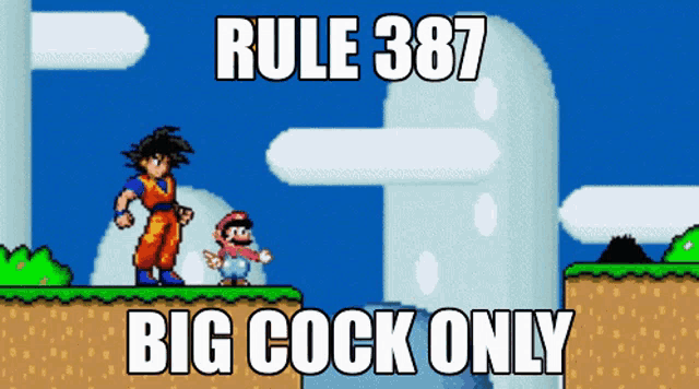 a video game scene with the words rule 387 big cock only on the bottom
