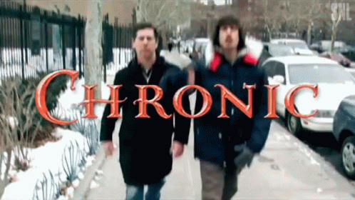 Chronic The Chronicles Of Narnia GIF - Chronic The Chronicles Of Narnia The Lion The Witch And The Wardrobe GIFs