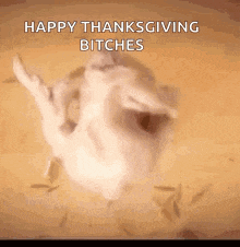 a turkey is flying through the air with the words `` happy thanksgiving bitches '' written on the bottom .