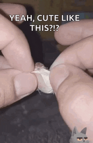 Tiny Little Spiders Spider GIF - Tiny Little Spiders Spider Hatch GIFs