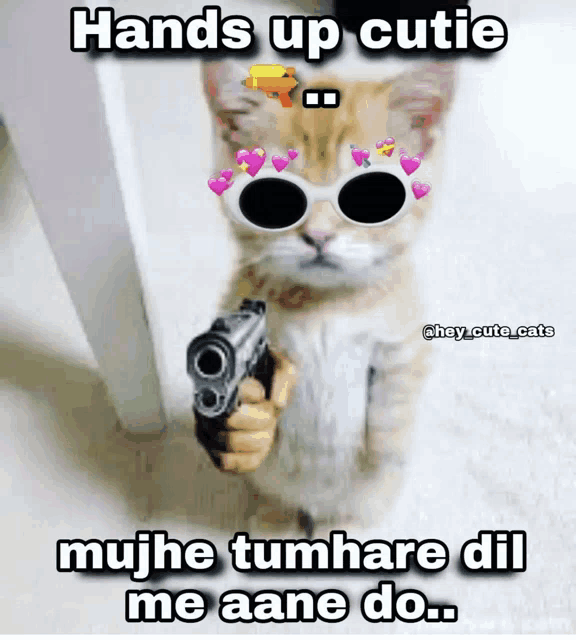 a cat wearing sunglasses is pointing a gun with the caption hands up cutie mujhe tumhare dil me aane do