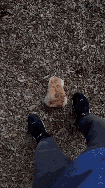 a person holding a large bread in their hand
