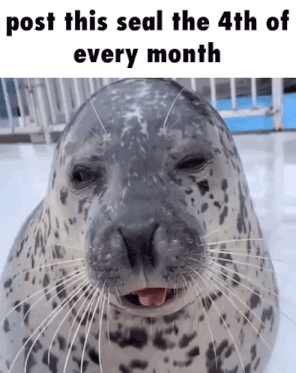 a seal with its tongue hanging out and the words post this seal the 4th of every month
