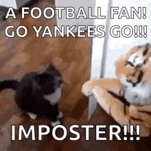 a football fan ! go yankees go ! imposter !!