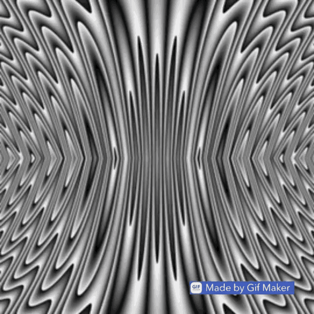 a black and white optical illusion created by gif maker
