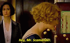 Fantastic Beasts Fantastic Beasts And Where To Find Them GIF - Fantastic Beasts Fantastic Beasts And Where To Find Them Scamander GIFs