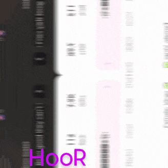 a close up of a computer screen with the word hoor written in purple