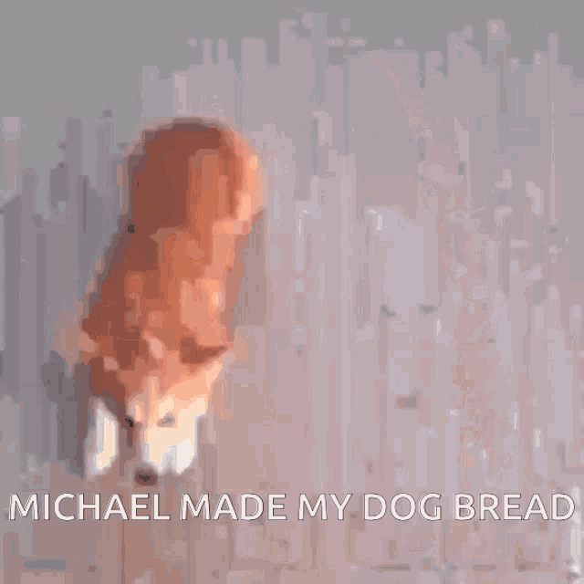 Michael Stole My Bread GIF - Michael Stole My Bread GIFs
